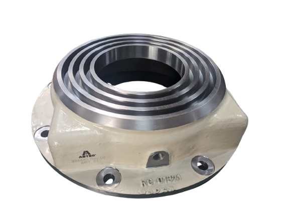 WhatsApp_Image_2025-07-11_at_5.05.09_PM-removebg-preview